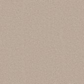 Eclipse Antique White Carpet